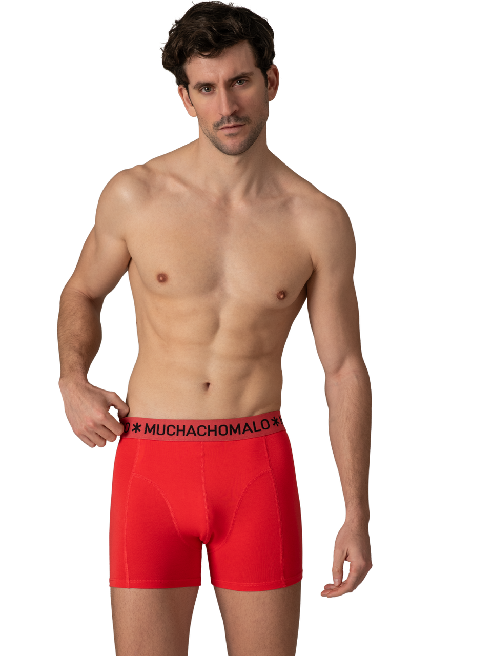 Black/Blue/Green/Red