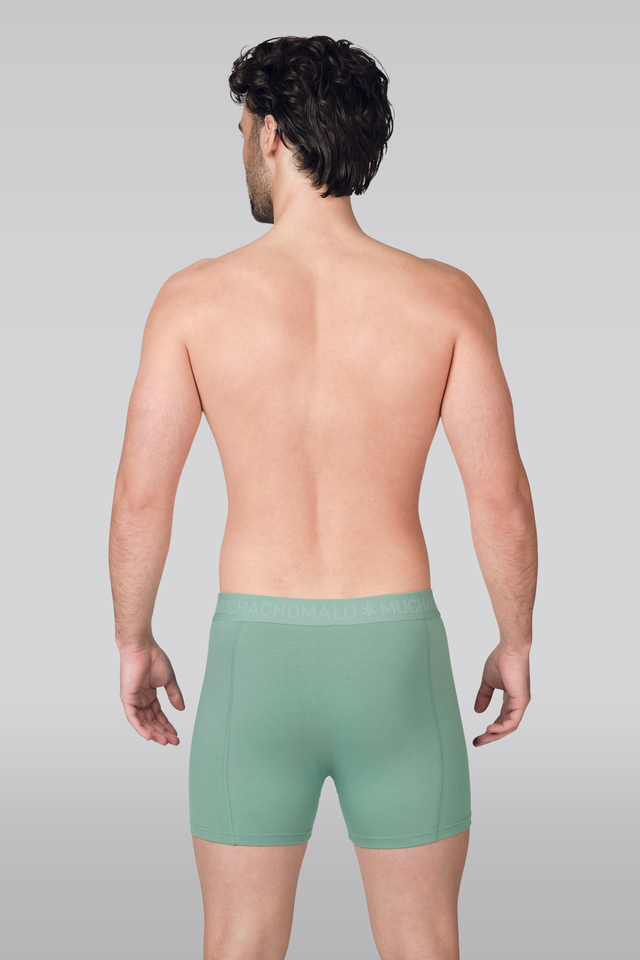 Black/Blue/Green/Red