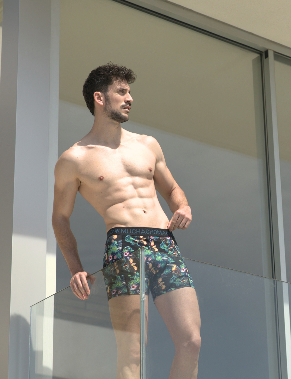 Image 66288885531005