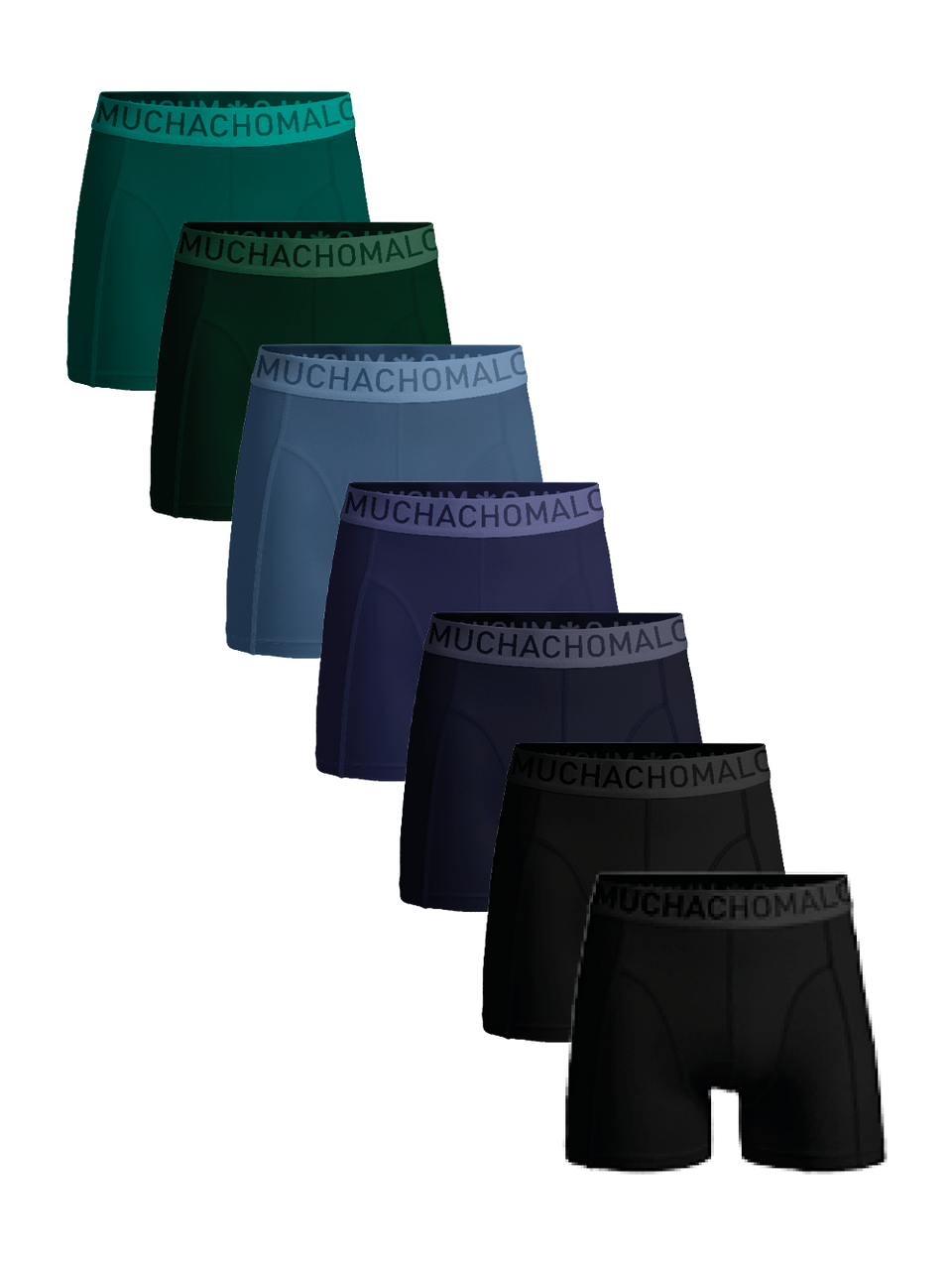 Black/Purple/Blue/Green