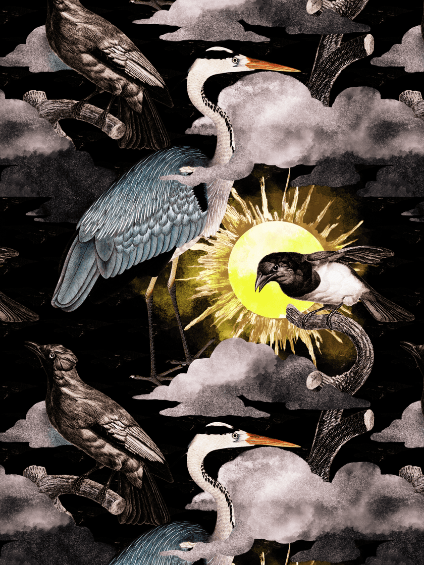 Heren 10-pack Boxershorts