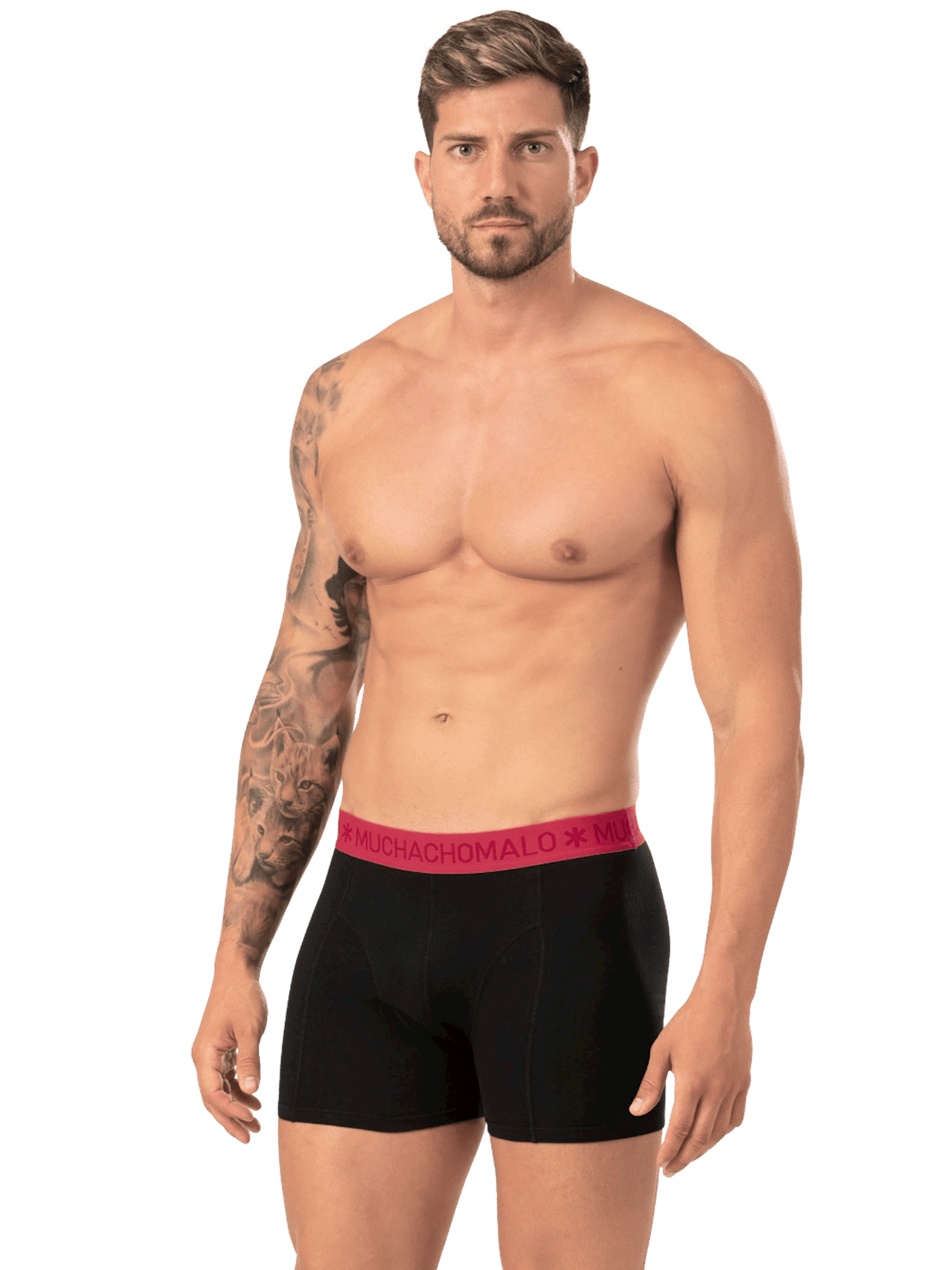 Negro/Negro/Negro/Negro/Negro/Negro/Negro/Negro/Negro/Negro