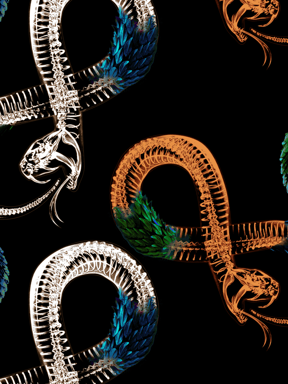 Print/Black/Blue/Green/Red