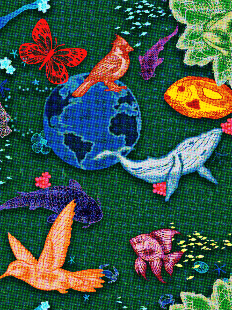 Print/Black/Blue/Green