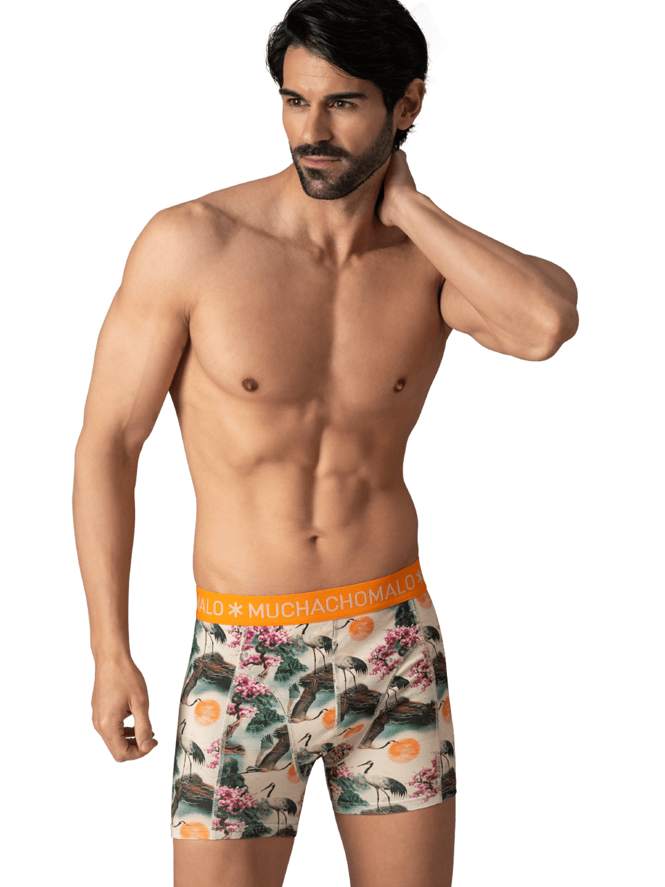 Print/Black/Blue/Green/Orange