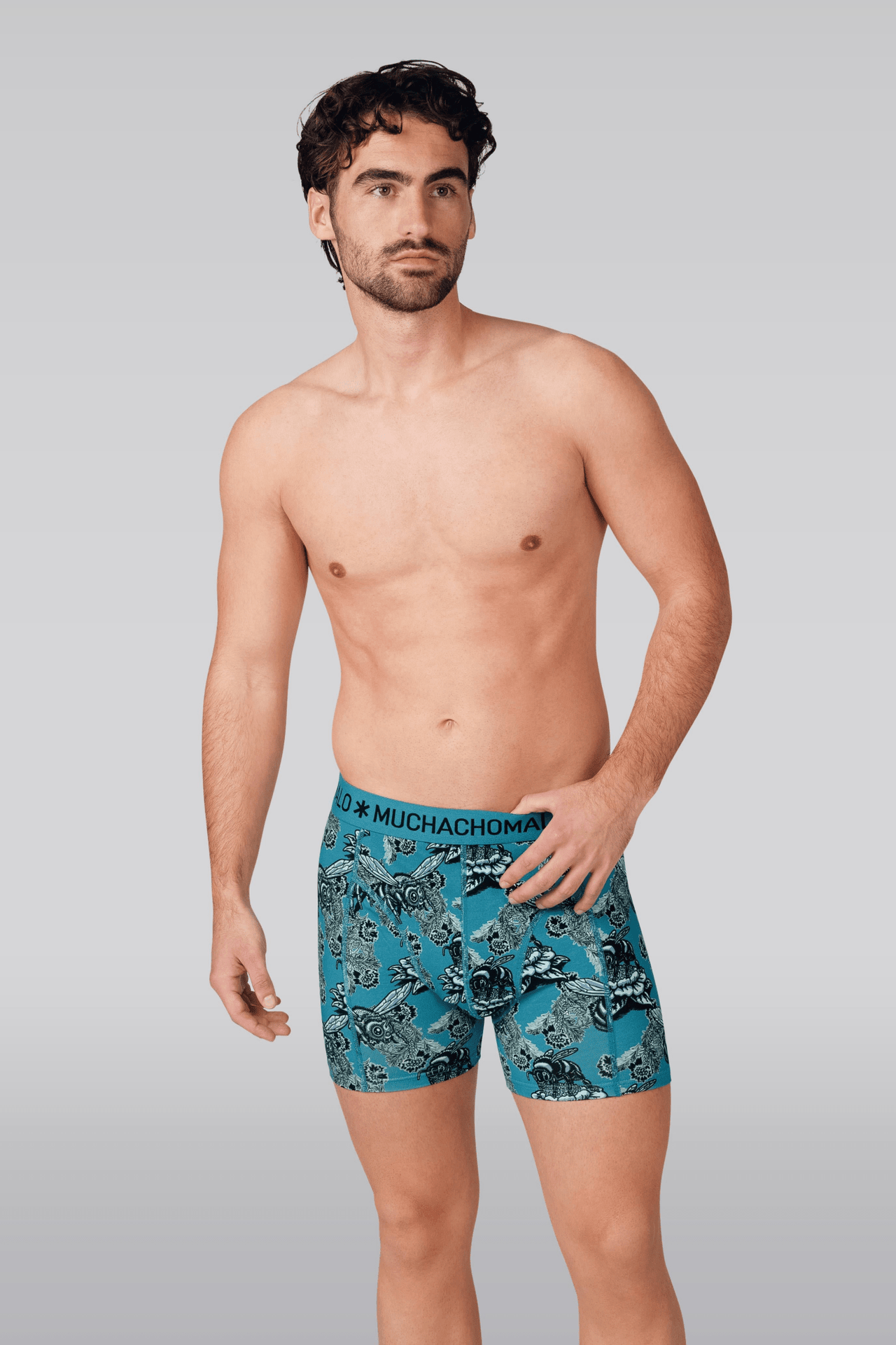 Print/Black/Blue/Green/Purple/Red