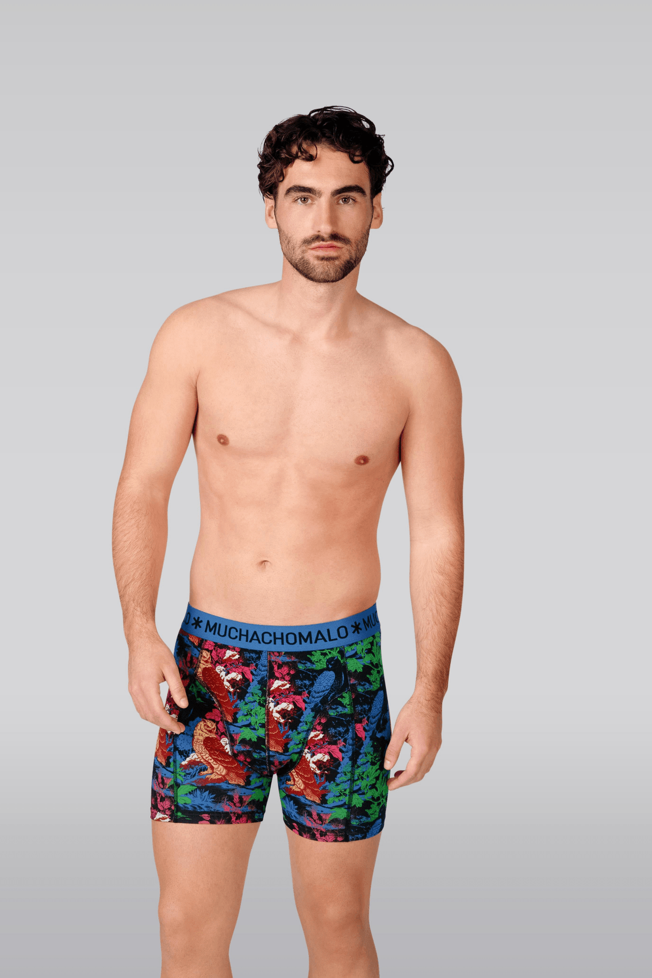 Print/Black/Blue/Green/Purple/Red