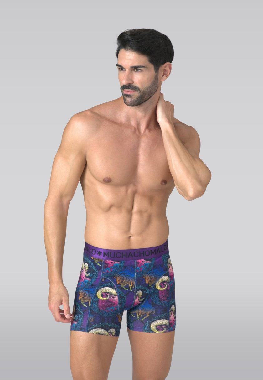 Print/Purple