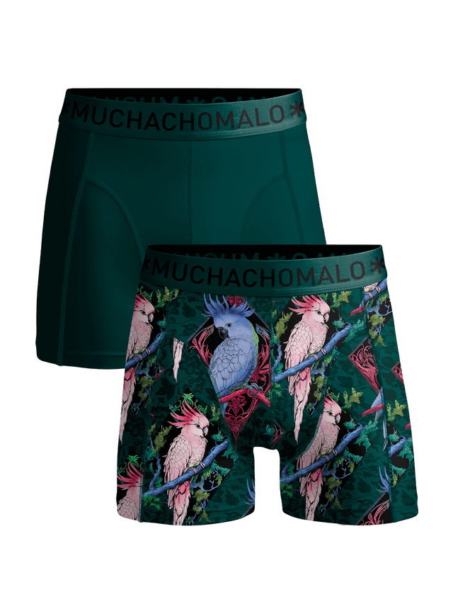 Print/Green
