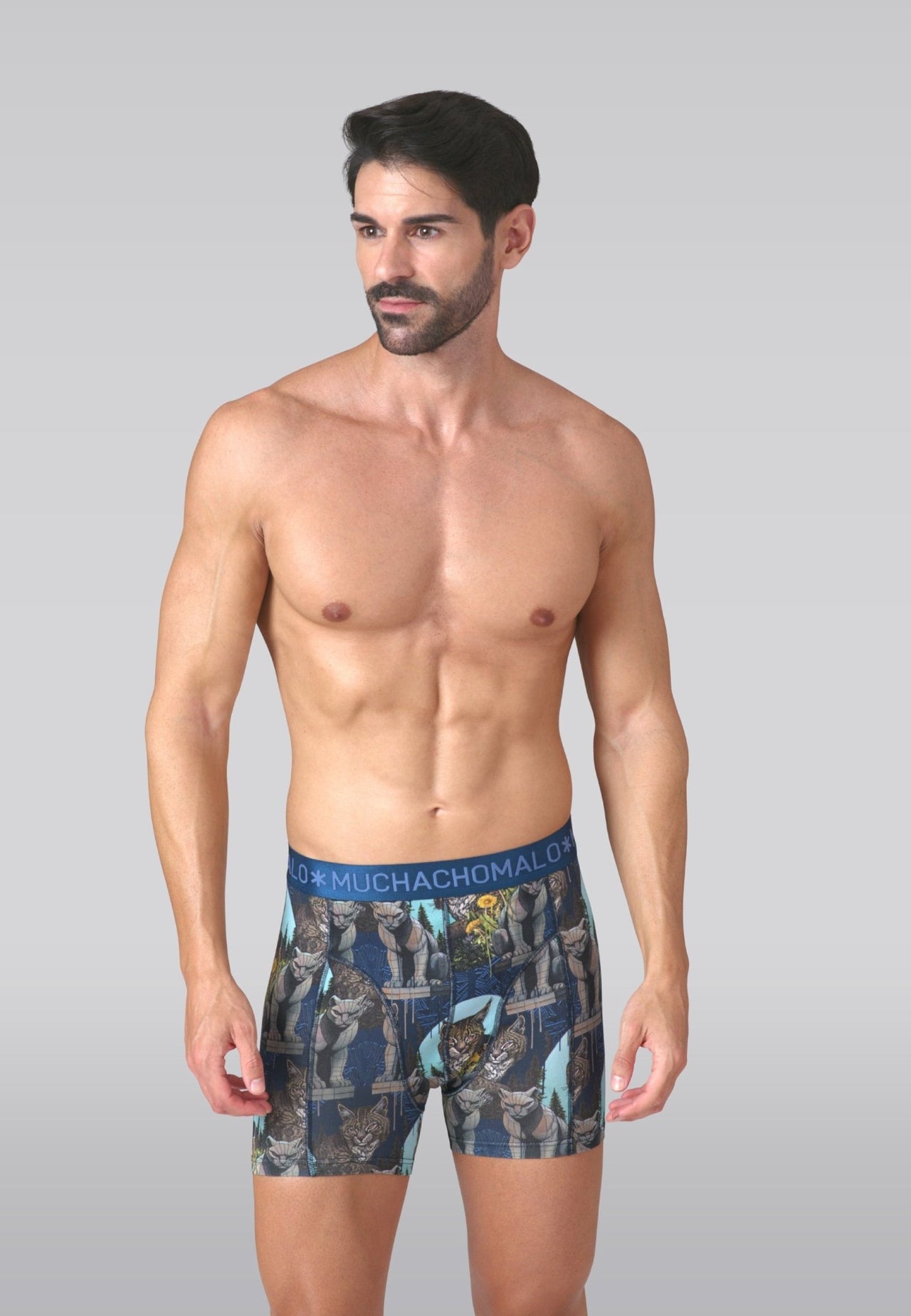 Print/Blue