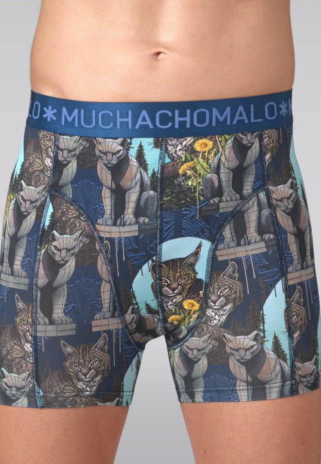 Print/Blue