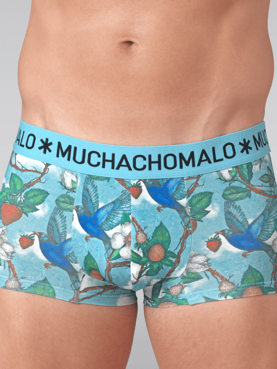 Print/Print
