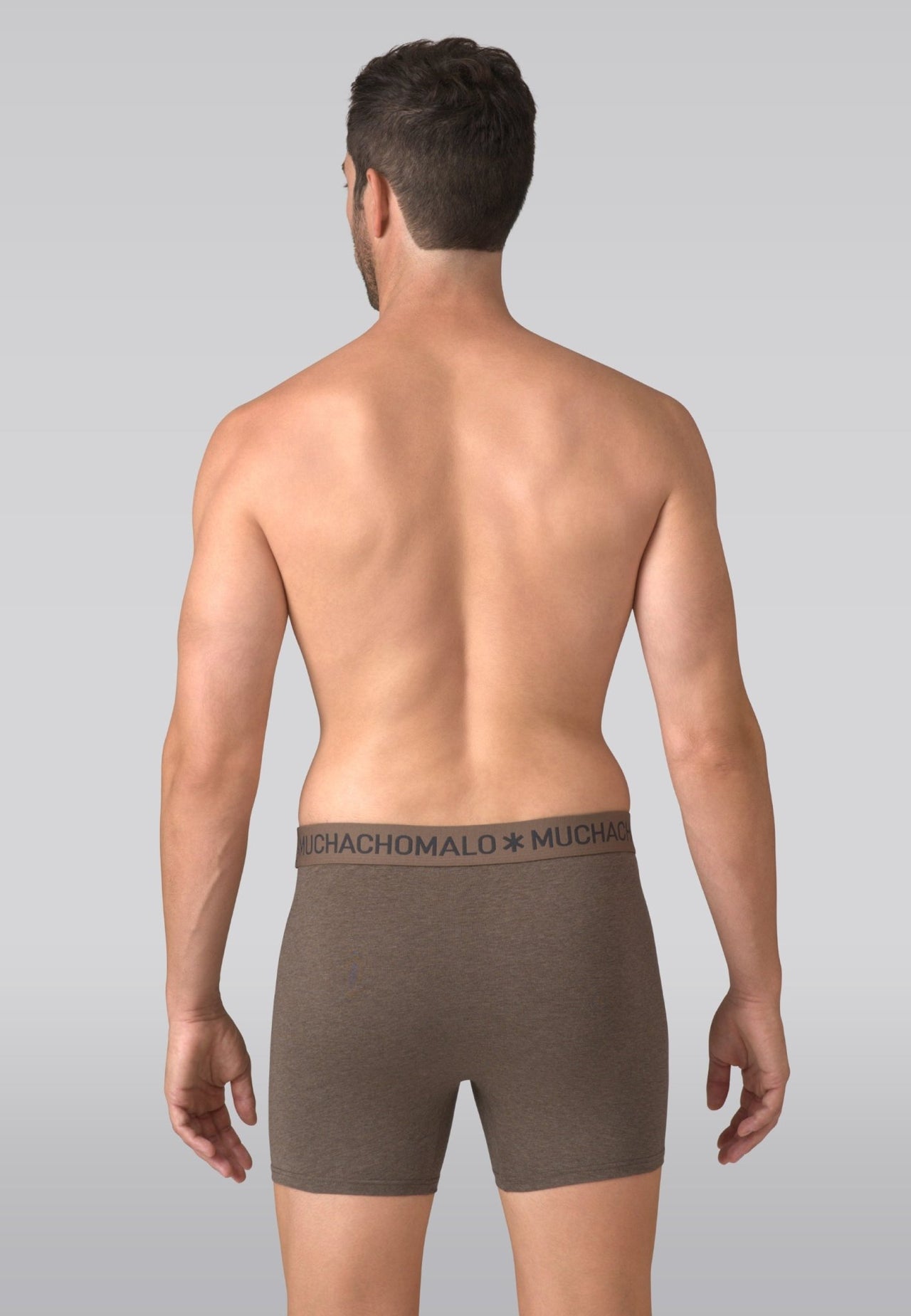 Brown/Beige/Grey