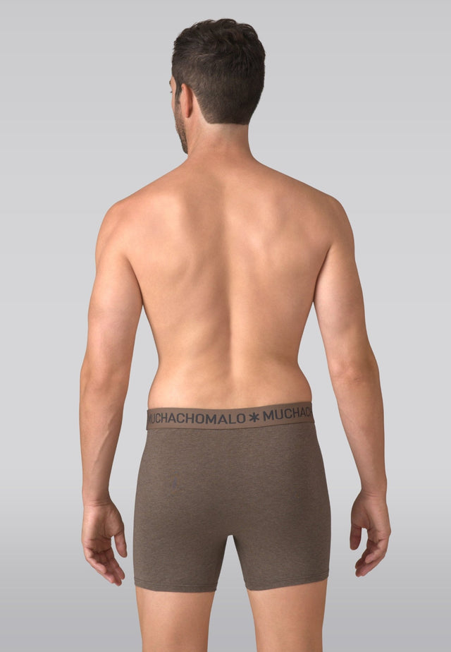 Brown/Beige/Grey