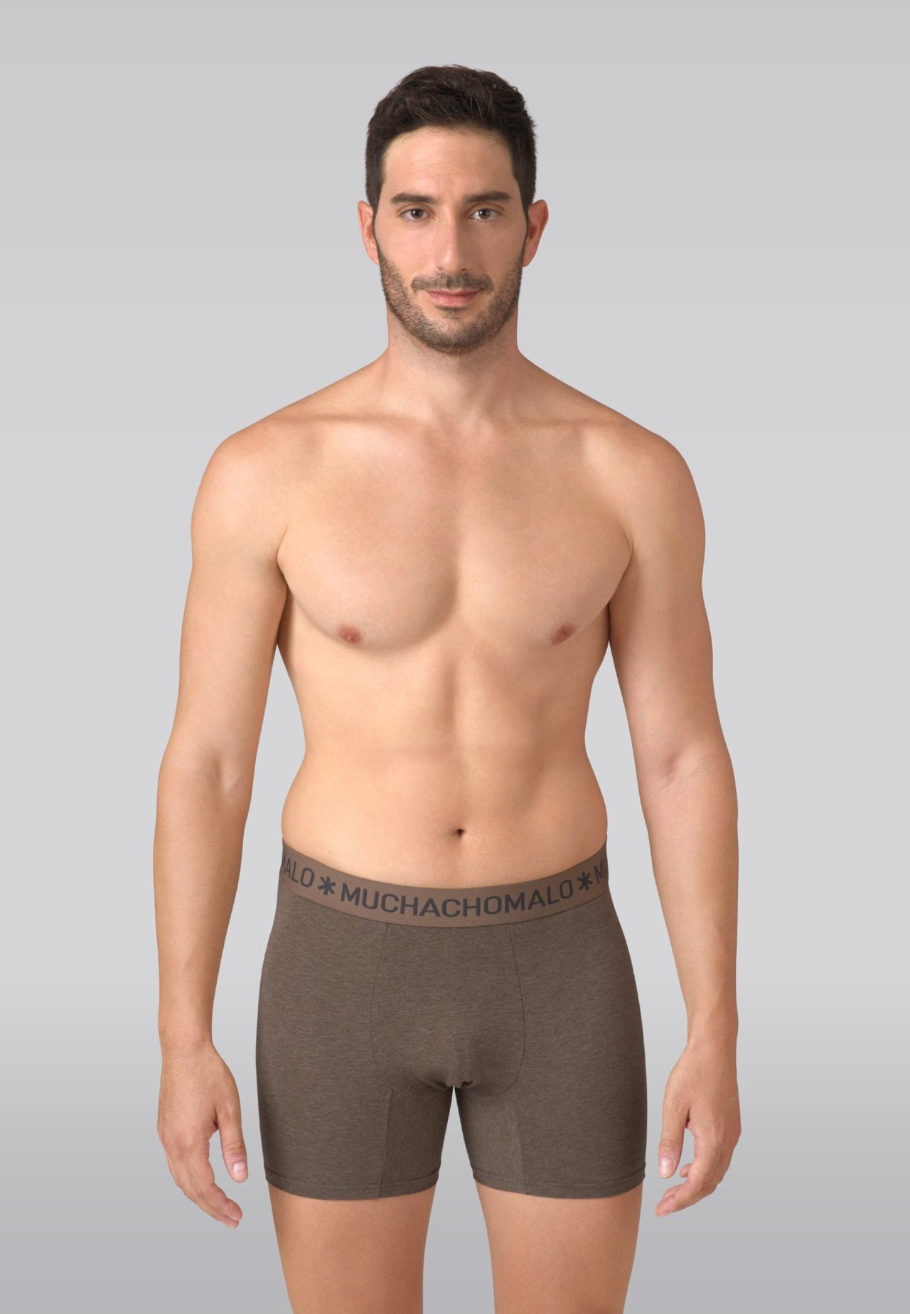 Brown/Beige/Grey