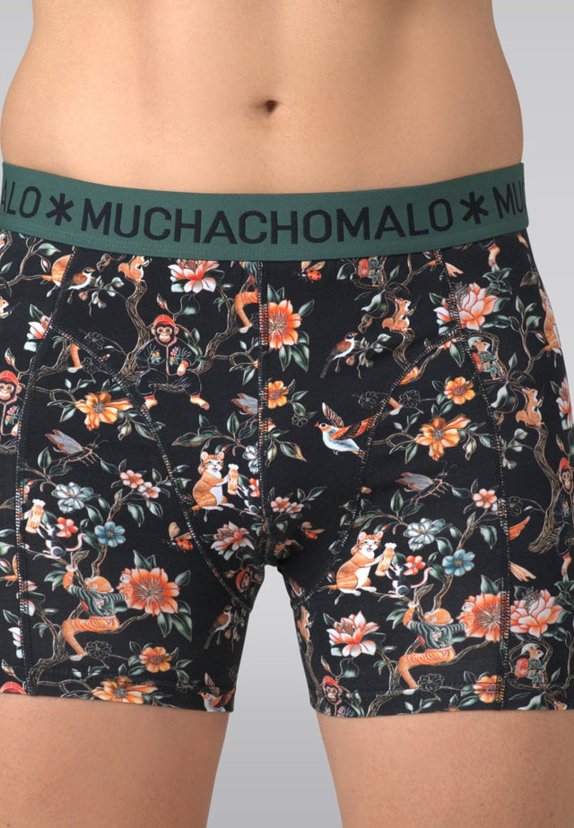 Print/Print/Green