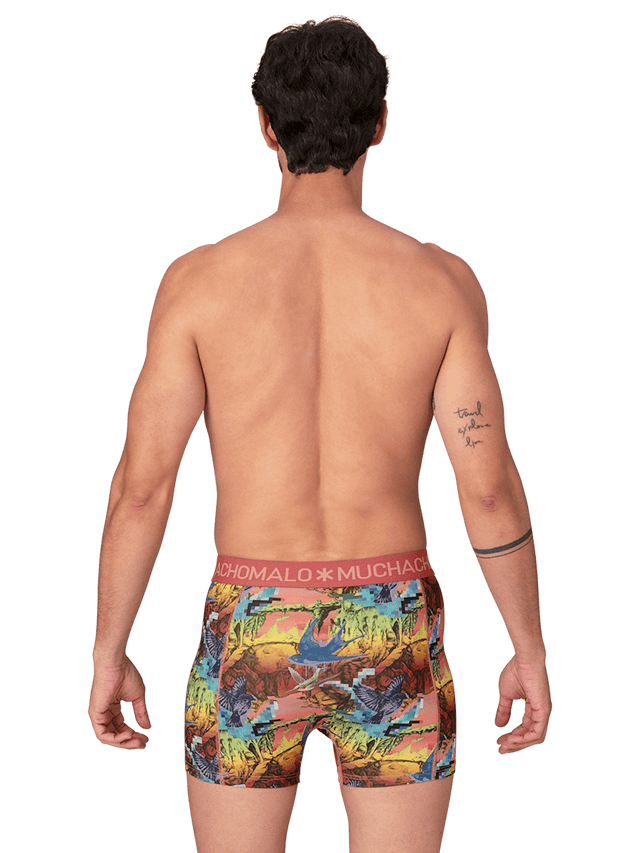 Print/Red/Blue/Green