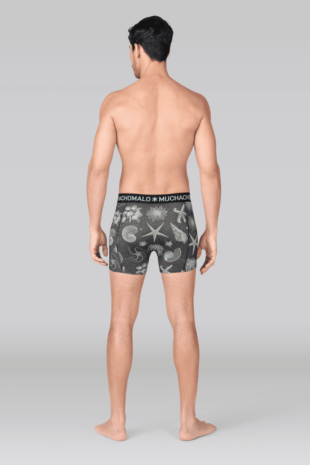 Print/Blue/Green/Black