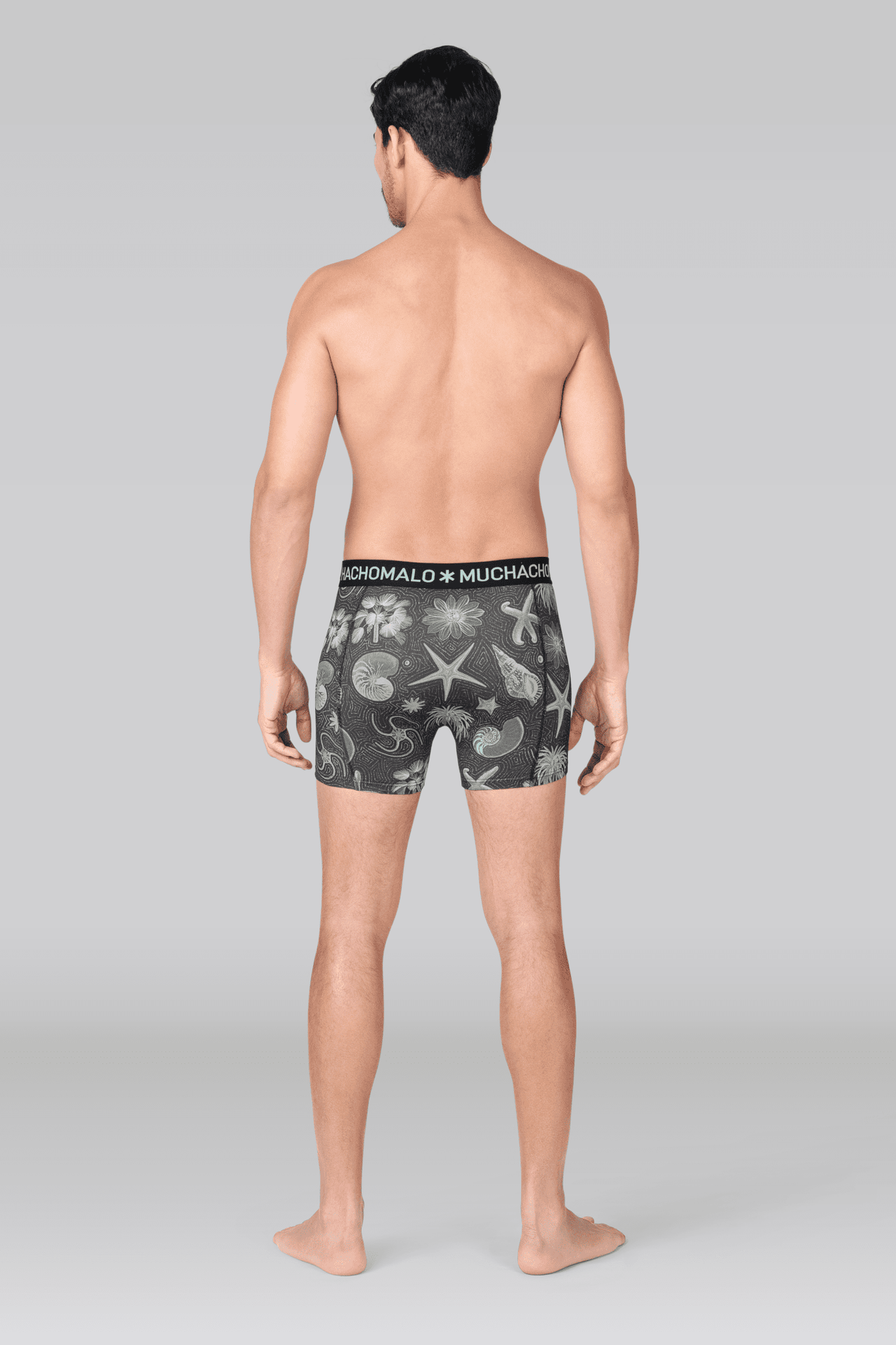 Print/Blue/Green/Black