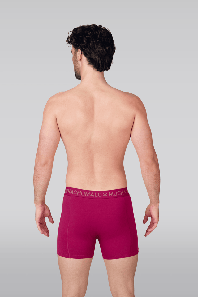 Print/Pink/Blue/Green
