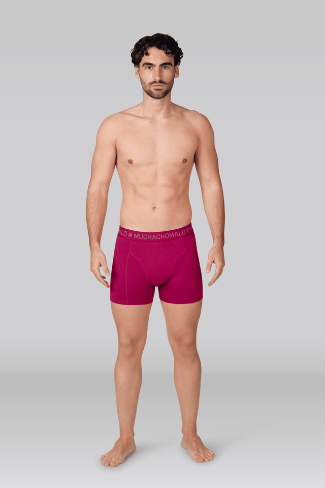 Print/Pink/Blue/Green