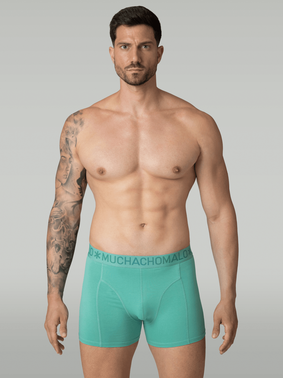 Blue/Green/Red/Purple