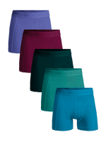 Blue/Green/Red/Purple