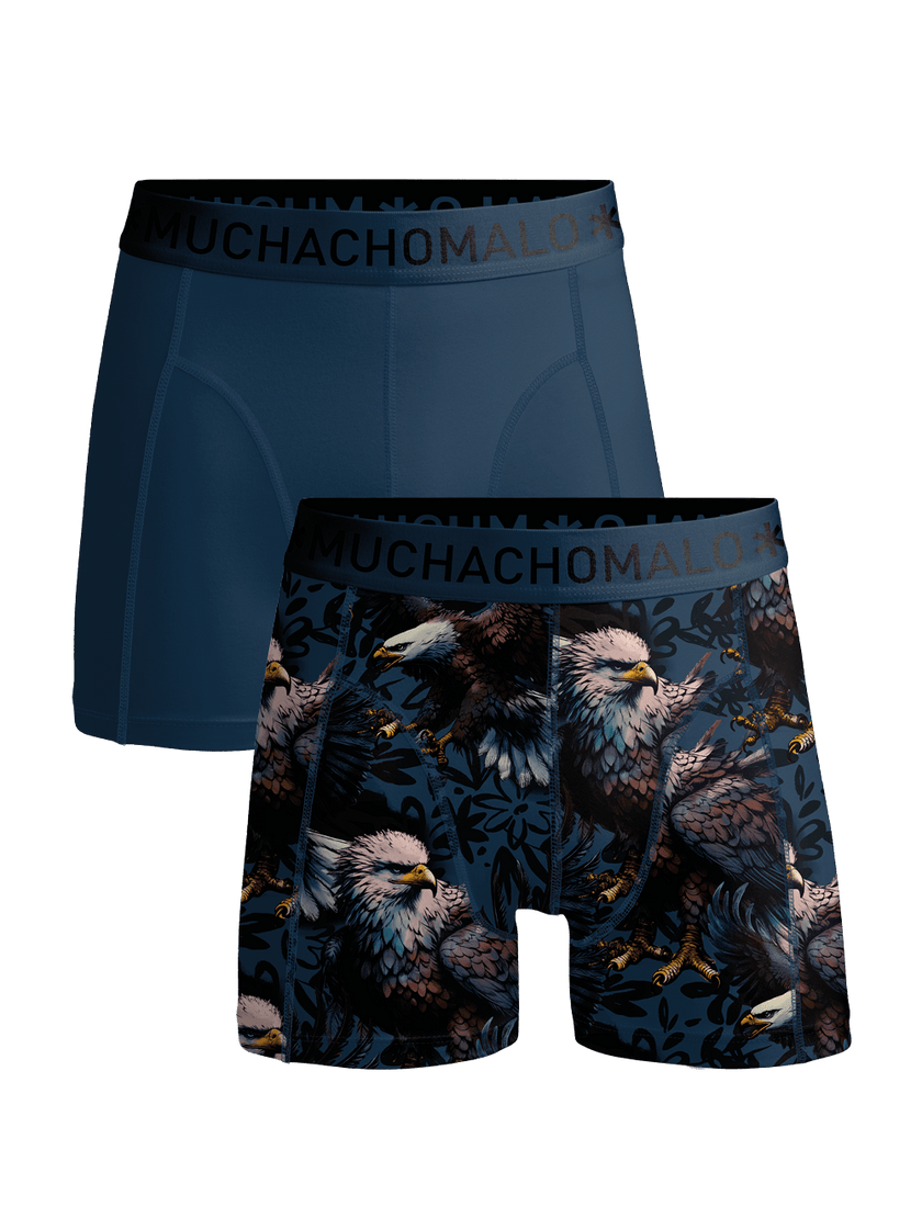 Print/Blue